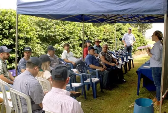Dias de Campo Online da Fundação Procafé serão realizados em 3, 4 e 5 de agosto
