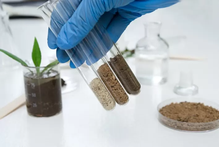 Análise genética do solo orienta posicionamento de produtos biológicos