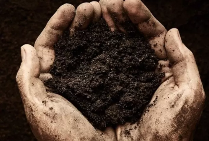 Bayer lança minissérie sobre o potencial do carbono na agricultura brasileira
