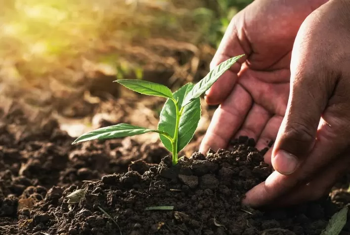Agro sustentável vai inserir o Brasil em outro nível no comércio