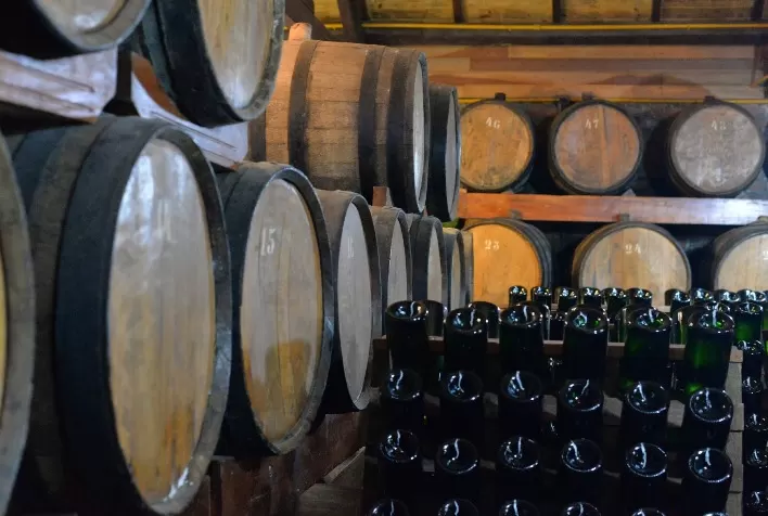 Circuito do Vinho: roteiro com experiências inéditas e exclusivas em 14 vinícolas no Sul