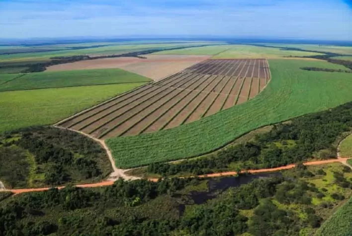 Após robotizar produção, UISA vai rastrear açúcar vendido no varejo