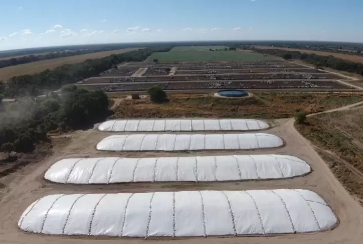 Silagem com aditivo israelense oferece mais resistência que as disponíveis no mercado