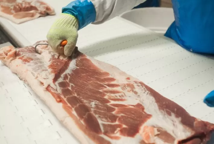 Exportações brasileiras de carne bovina registram faturamento de US$ 1 bilhão em julho