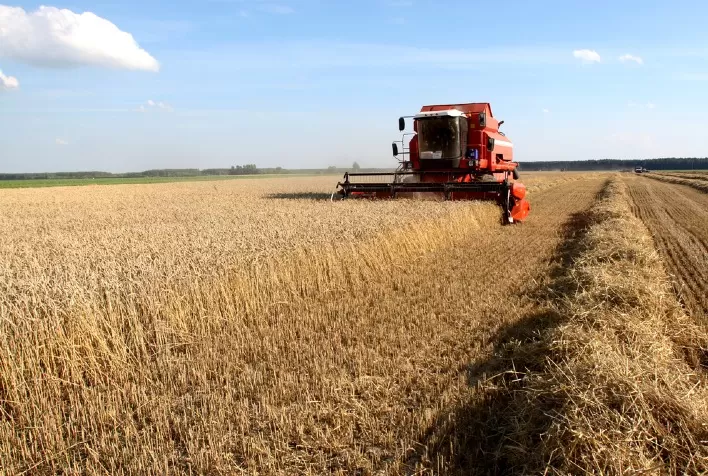 Área tratada com defensivos agrícolas cresceu 12,3% no segundo trimestre. Devido à safrinha, participação do milho dobrou no período
