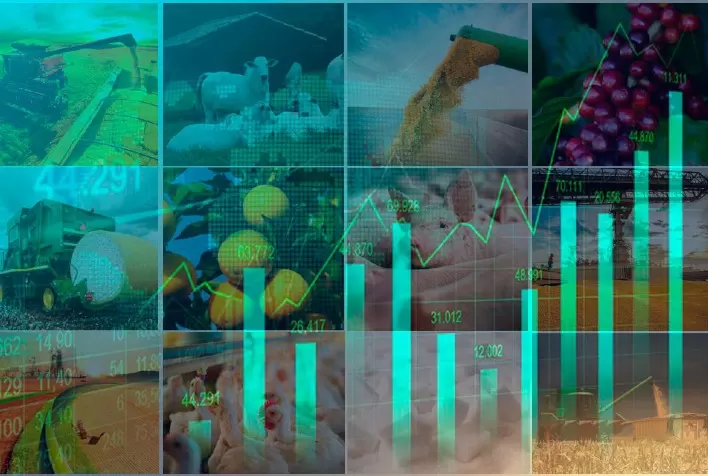 Geadas e juros elevados são uma combinação nociva ao agronegócio
