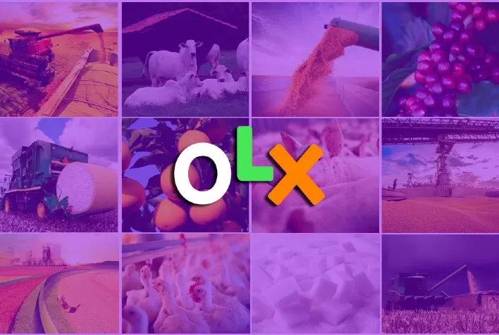 Agronegócio: busca, venda e oferta de itens seguem em alta na OLX