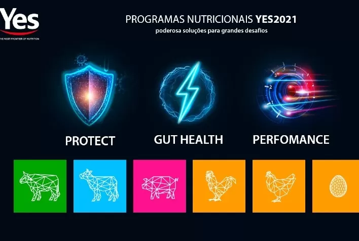 Yes apresenta plataforma nutricional durante Simpósio Brasil Sul de Suinocultura 2021
