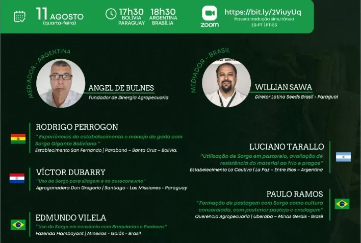Com insumos caros e pouca chuva, como alimentar o boi?