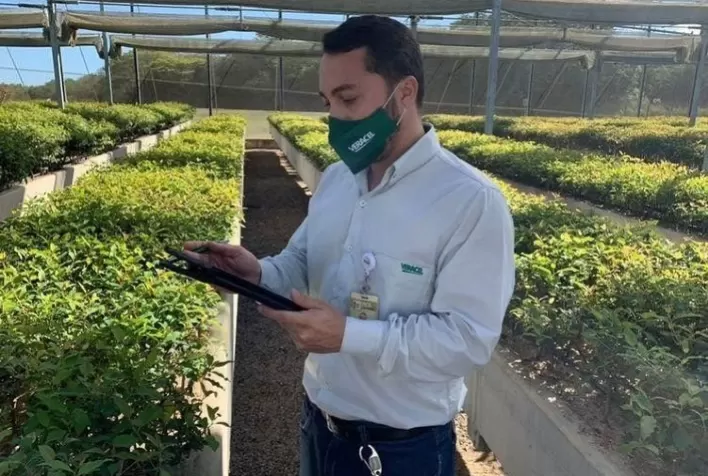 Veracel amplia o uso de tecnologias de gestão em seu viveiro de mudas
