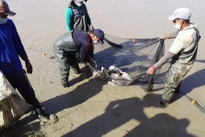 Codevasf fortalece estrutura de suporte à aquicultura e à pesca artesanal