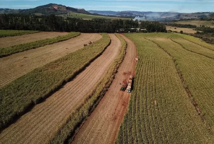 Com tecnologia e produtividade, cana-de-açúcar volta a brilhar no Norte Pioneiro