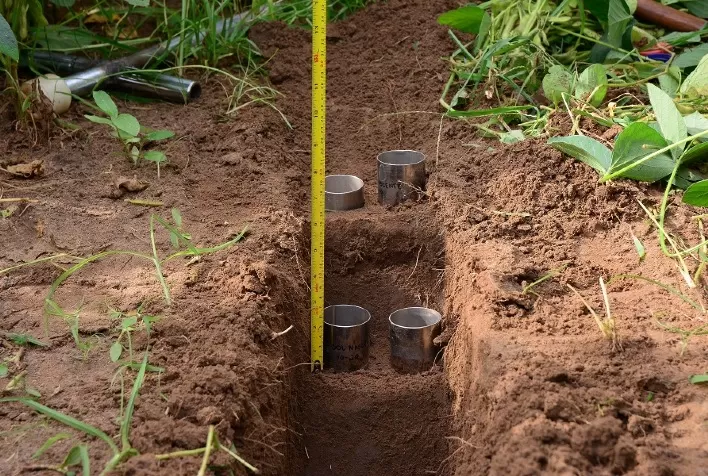 Mais de 4 mil hectares de desmatamento foram evitados com a realização do Programa de Serviços Ambientais Soja Brasil