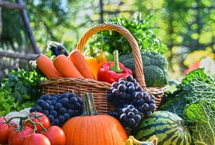 Frutas e hortaliças brasileiras são seguras e devem ser consumidas, garantem especialistas