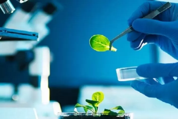 Mercado de bioinsumos cresce e Korin Agricultura avança 50% em 2021