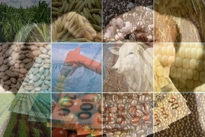 Ipea analisa alta nos preços agropecuários no Brasil e no mercado internacional