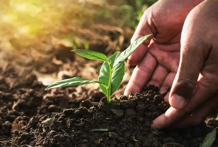 Protagonismo da agricultura