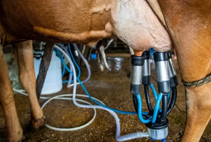 Zoetis apoia pequenos produtores de leite no interior paulista