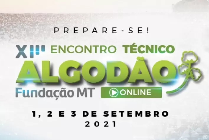 Entenda a safra de algodão 20/21