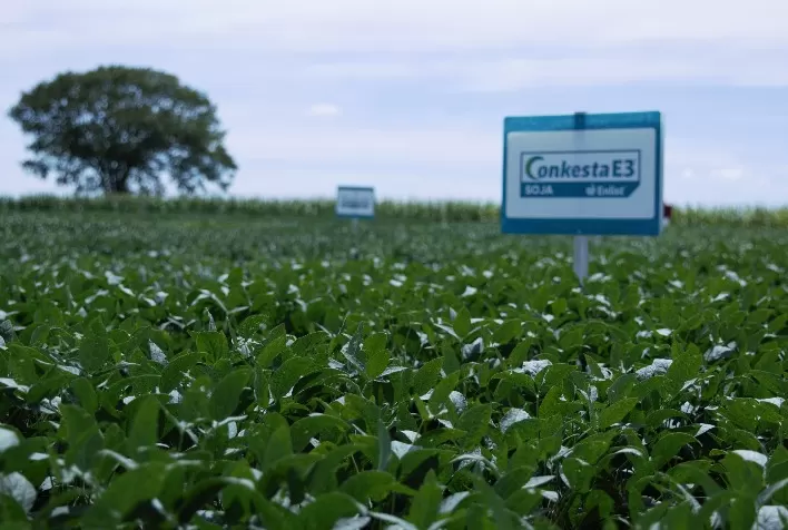 Corteva Agriscience lança soja Conkesta E3® no Brasil