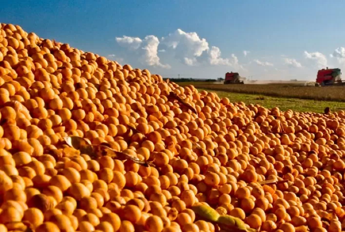 Soja trabalha estável, testando leves baixas em Chicago nesta 4ª, após disparada da sessão anterior