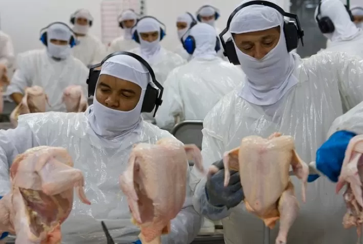 Exportação de carne de frango do Paraná já supera o milhão de toneladas