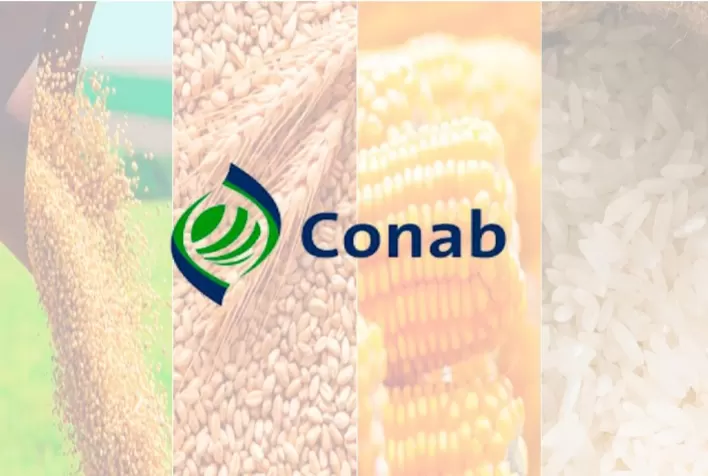 Conab estima produção total de 289,6 milhões de toneladas de grãos para safra 2021/22