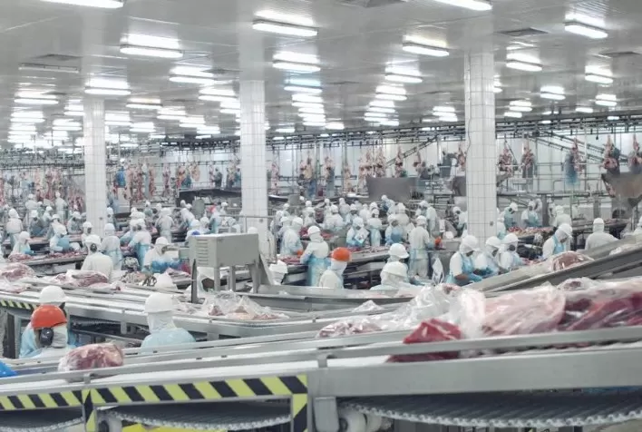 Friboi expande logística do mercado interno com dois novos Centros de Distribuição