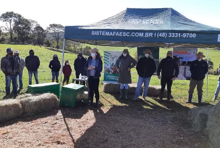 Produtores de gado leiteiro participam de oficinas do Campo Demonstrativo