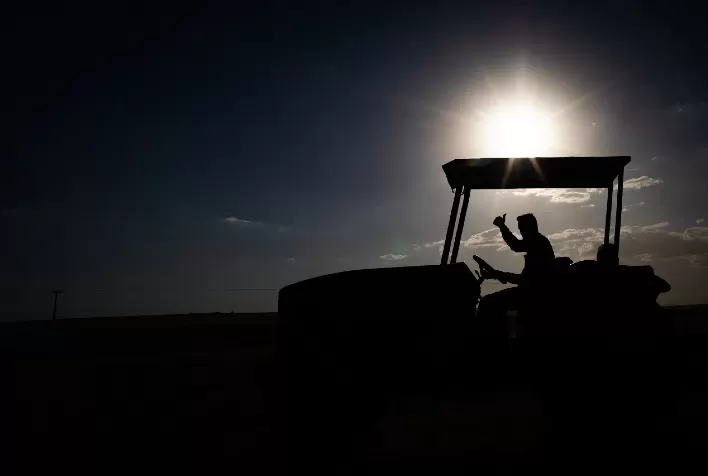 Setor agropecuário cria mais de 9 mil empregos formais de janeiro a julho em Goiás