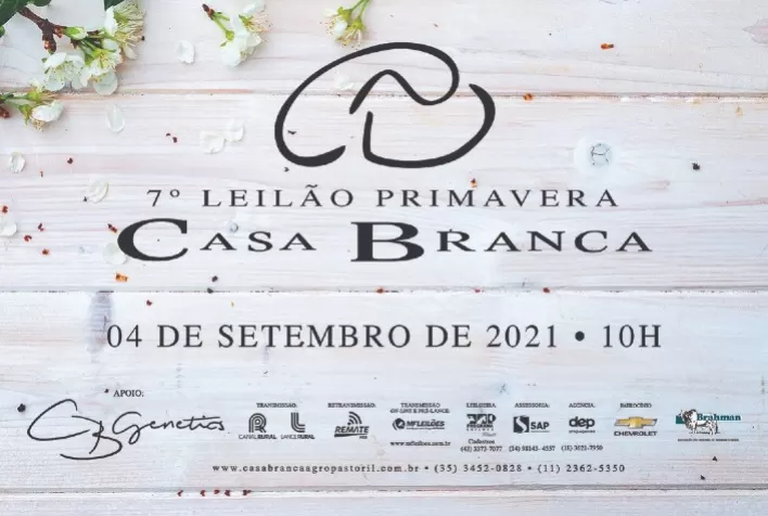 Casa Branca fará oferta de mais de 100 exemplares Angus