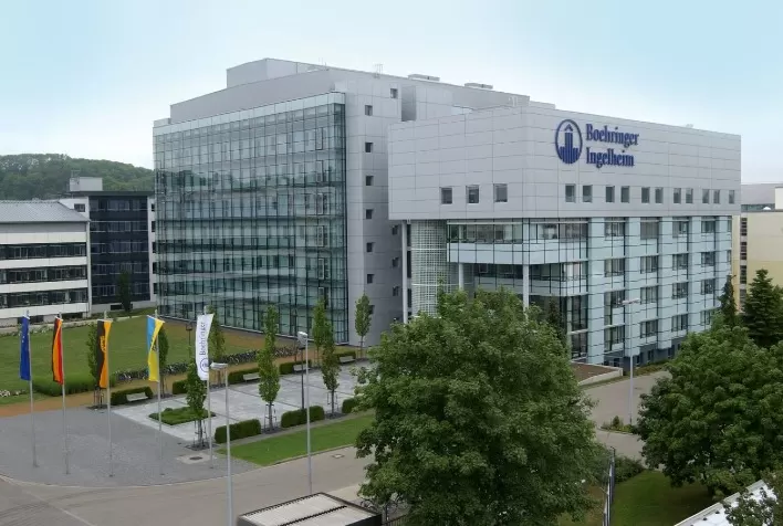 Divisão de Saúde Animal da Boehringer Ingelheim registra 9,6% de crescimento no primeiro semestre de 2021