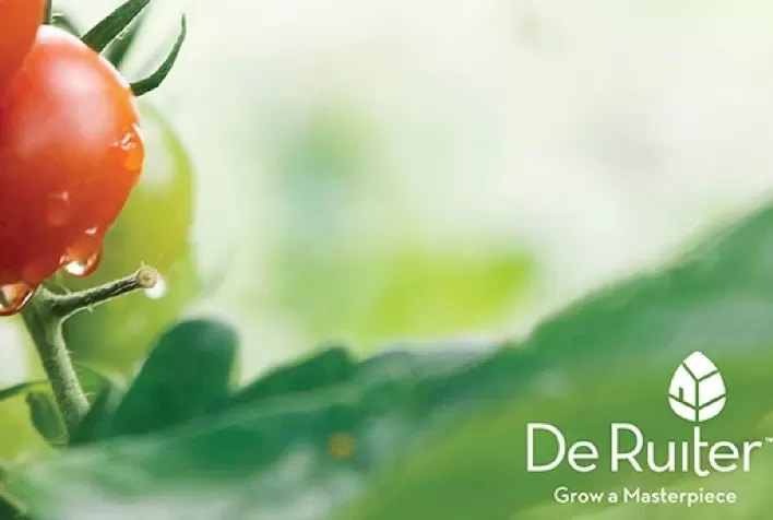 Bayer traz novo conceito em hortifrúti com lançamento de plataforma da marca "Vegetables by Bayer"