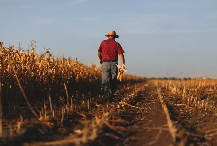 Bayer é pioneira em oferecer subsídio privado para seguro agrícola no país