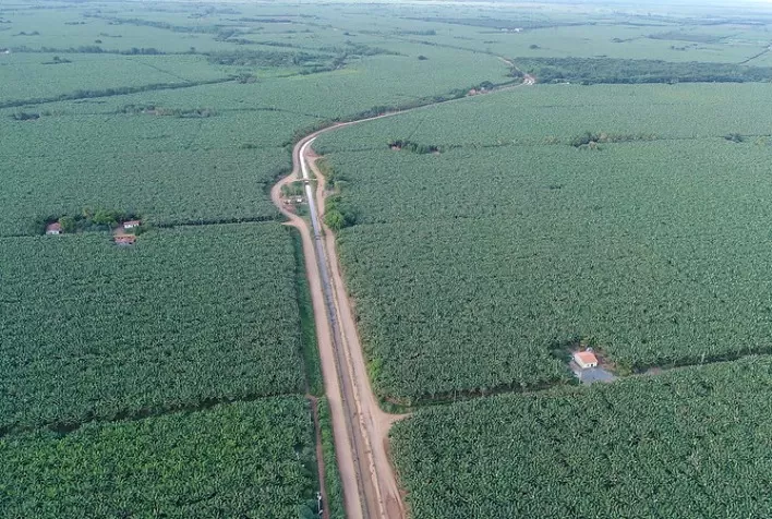 Codevasf abre licitação para lotes agrícolas em projeto público de irrigação na Bahia