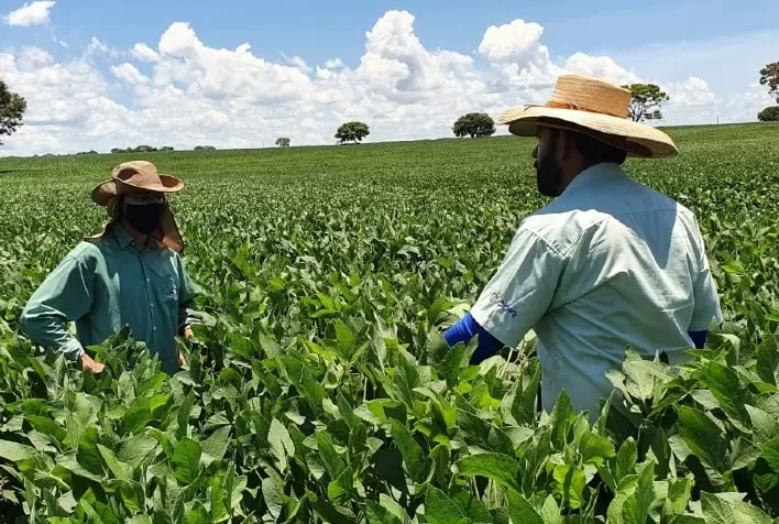 Projeto estimula a produção de soja no Centro-Oeste de Minas