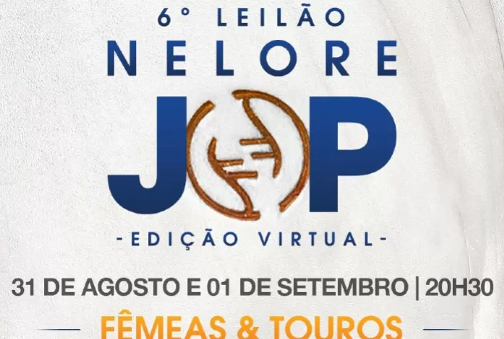 Nelore JOP realiza leilão de machos e fêmeas em duas etapas