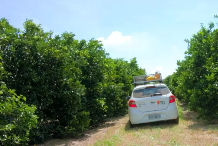 Fundecitrus inicia novo mapeamento completo do parque citrícola