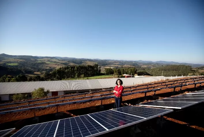Instalação de painéis solares em granjas de produtores da BRF está em ritmo acelerado