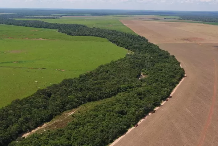 Bom Futuro emprega tecnologia para cuidar de área ambiental de 98 mil hectares
