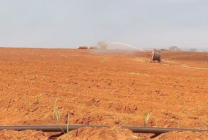 Agrícola utiliza fertirrigação no combate à seca