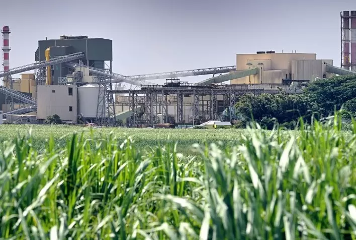 Safra canavieira 2021/22 tem ótimos preços, mas o custo de produção é muito alto