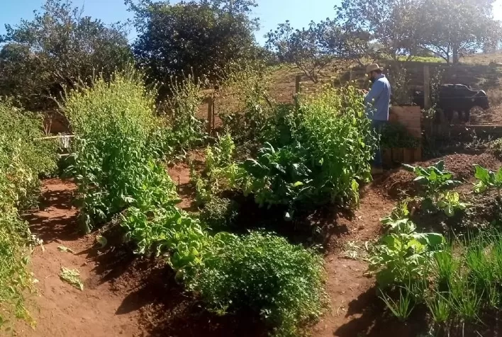 Implantação de hortas e pomares fortalecem a agricultura sustentável em municípios mineiros