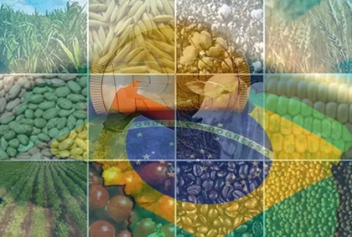 Queda do PIB agropecuário reforça necessidade de apoio ao setor