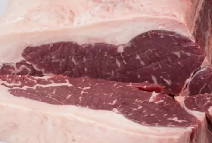 Exportações totais de carne bovina têm recorde mensal em agosto
