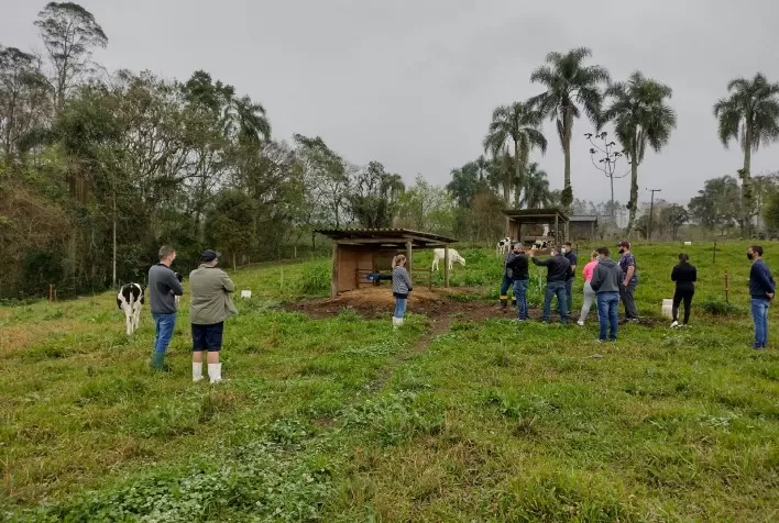Manejo de Bezerras de Raças Leiteiras é foco de cursos do SENAR/SC no sul