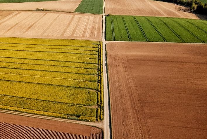 Supercampo firma parceria com banco digital do agronegócio e oferece produtos financeiros exclusivos sem garantia atrelada para os seus cooperados