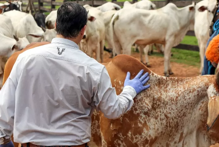 Boehringer Ingelheim Saúde Animal e Biogénesis Bagó anunciam negociação de transferência de propriedade do Progestar®