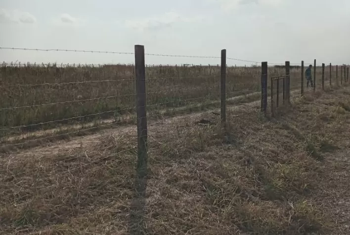 Belgo Bekaert apoia experimento para controle de febre maculosa por meio do NPC no campus Luiz de Queiroz da Esalq/USP, em Piracicaba (SP)