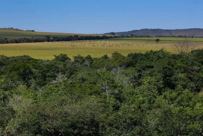 Brasil caminha na direção certa para se tornar uma potência agroambiental